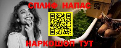 гашик Новокубанск