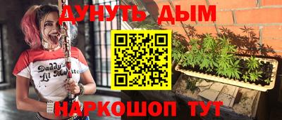 гашик Новокубанск