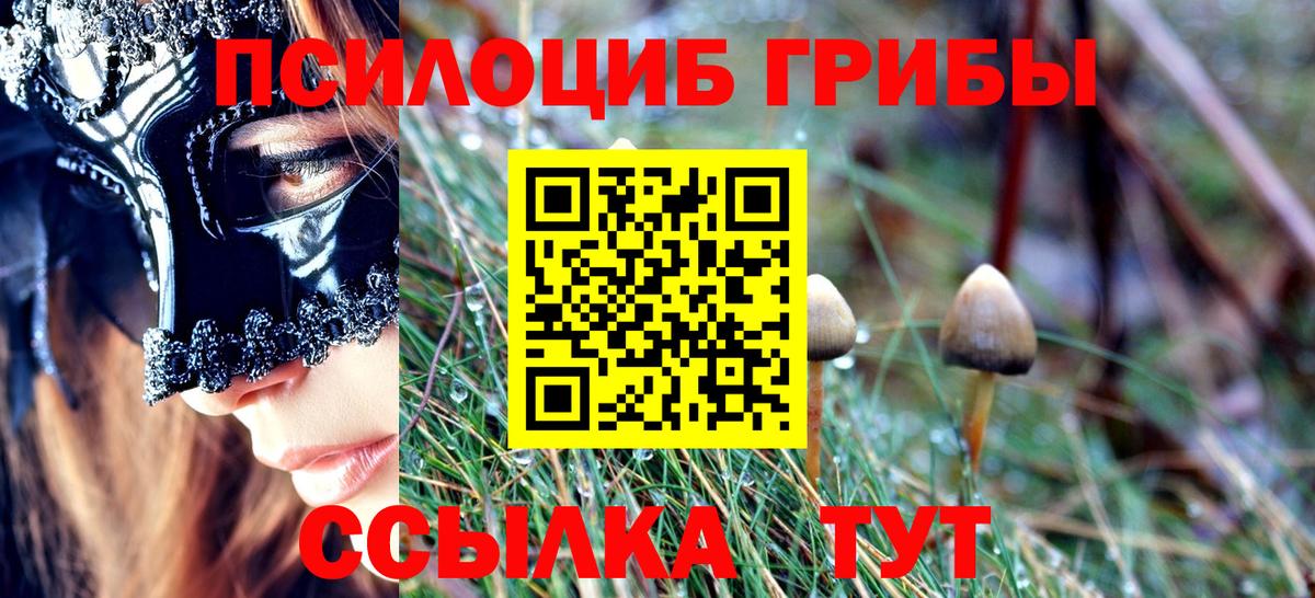 Галлюциногенные грибы MAGIC MUSHROOMS  Вход с VPN  Славгород 