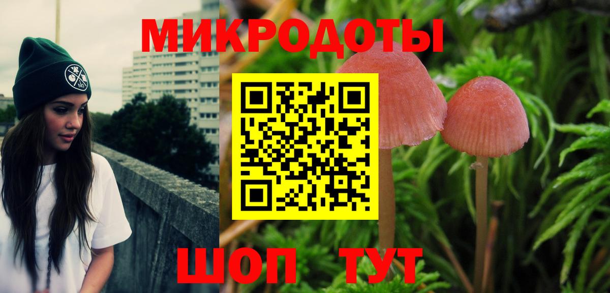 Галлюциногенные грибы прущие грибы Славгород
